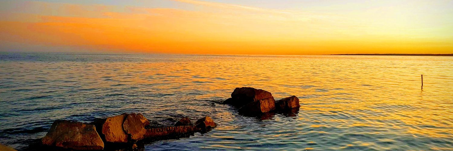 shelleyrudd's profile banner image