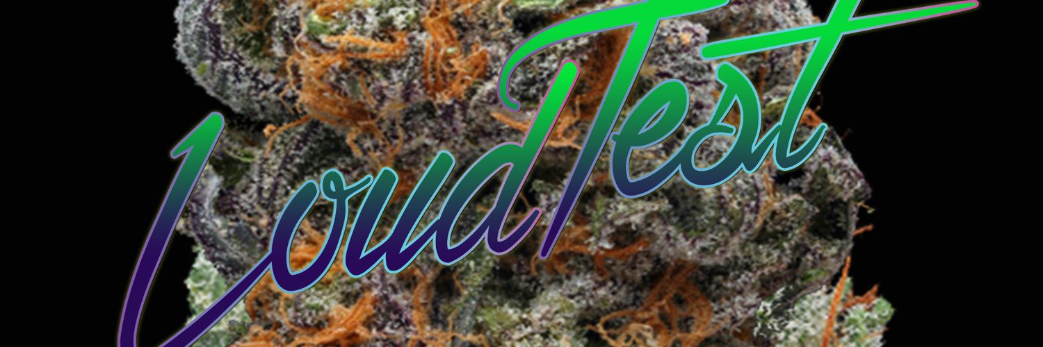LoudTest (Keeping my $8) banner