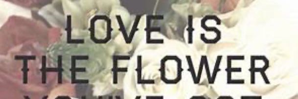 cadigirl13's profile banner image
