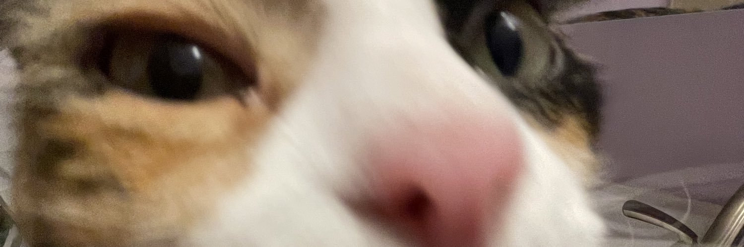 _shitforbrains's profile banner image