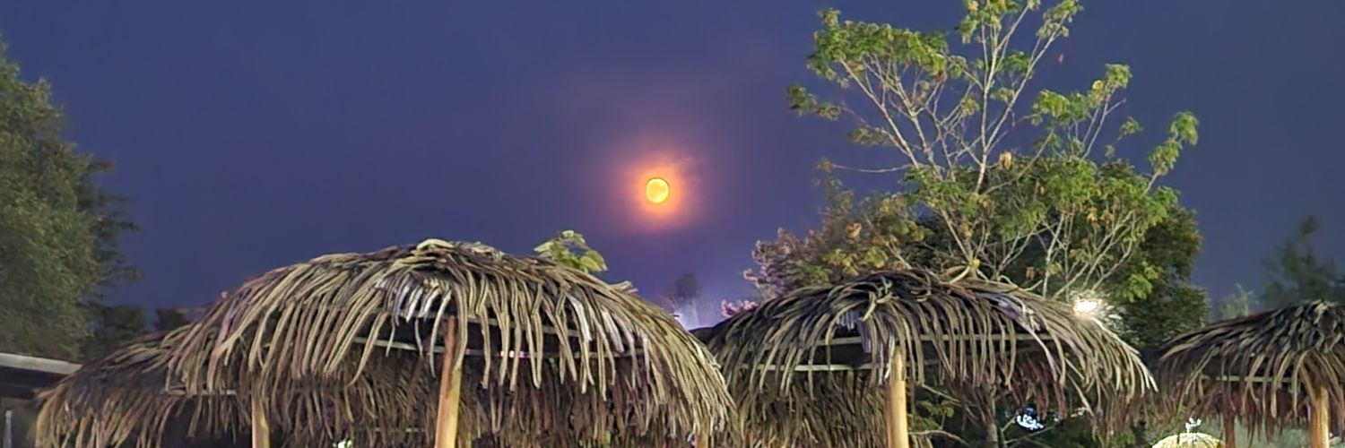 moreaubuldog's profile banner image