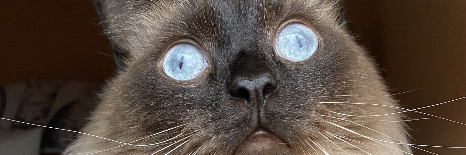 em banner