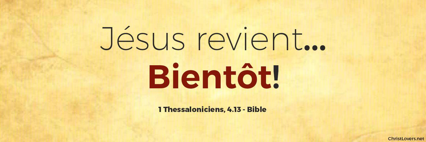 Sergeobee LovedOne 🇨🇲 banner