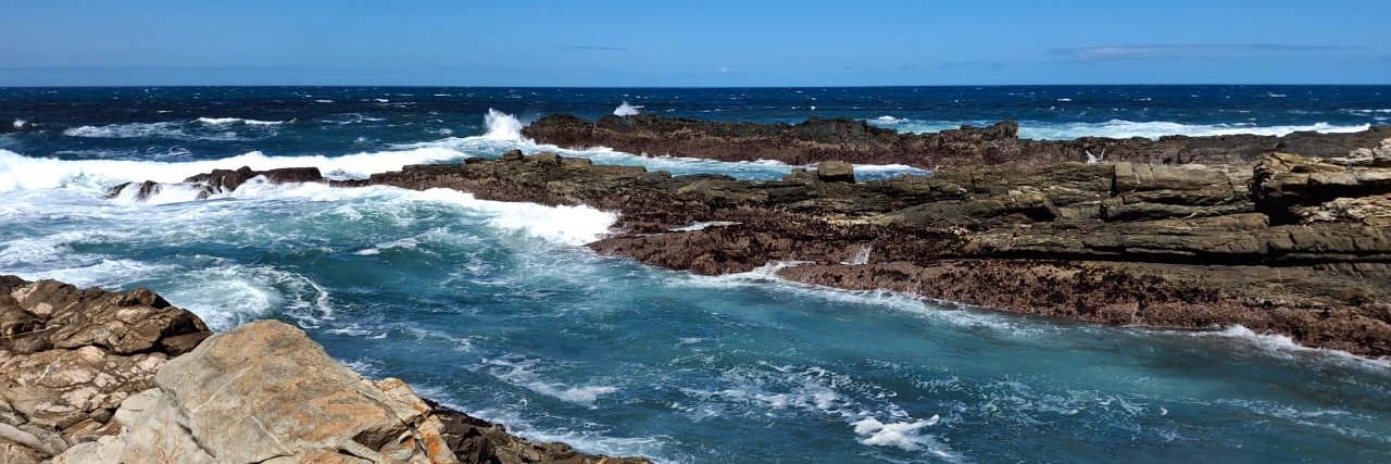 Jenn Forster 🇿🇦🇵🇸🇨🇩🇸🇩🏳️‍🌈🏳️‍⚧️ banner