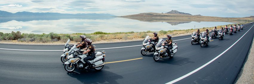 Michael S. Rapich banner