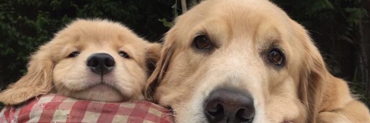 TheNamesMcNeil's profile banner image