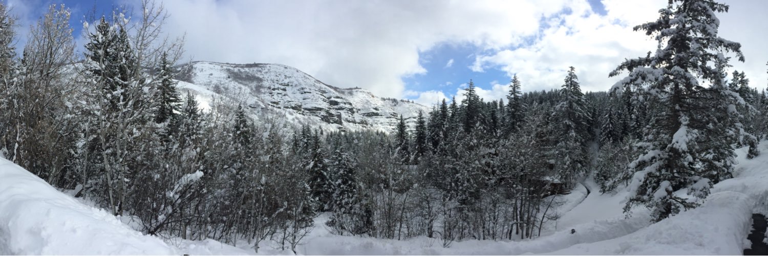SullenFF's profile banner image