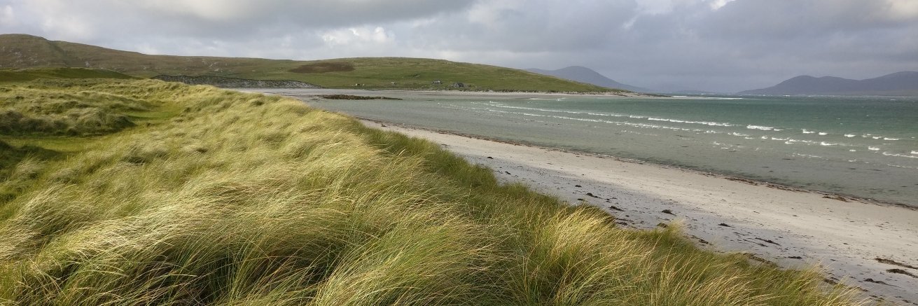 Miranda Kronfli banner