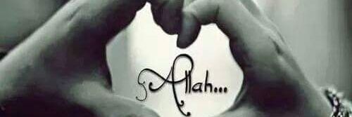 Fadime Algın banner