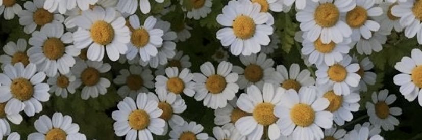 ramalhoslet's profile banner image