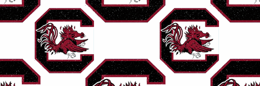 JenB528's profile banner image