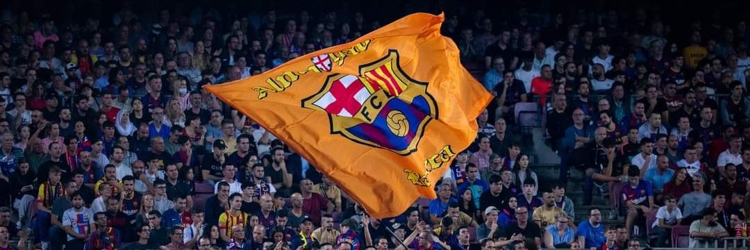 BrandReest banner