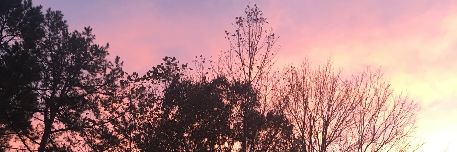 Jonathan Saar banner