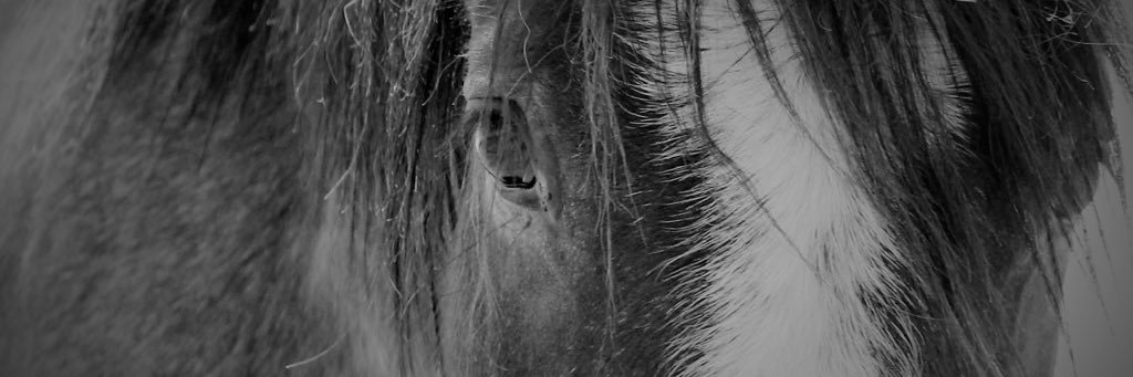august_hefner's profile banner image