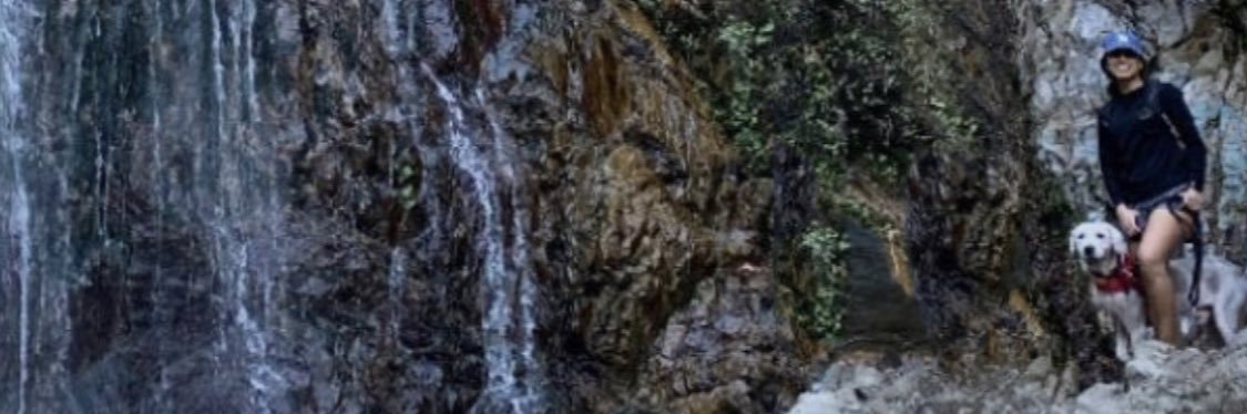 francescaesc's profile banner image