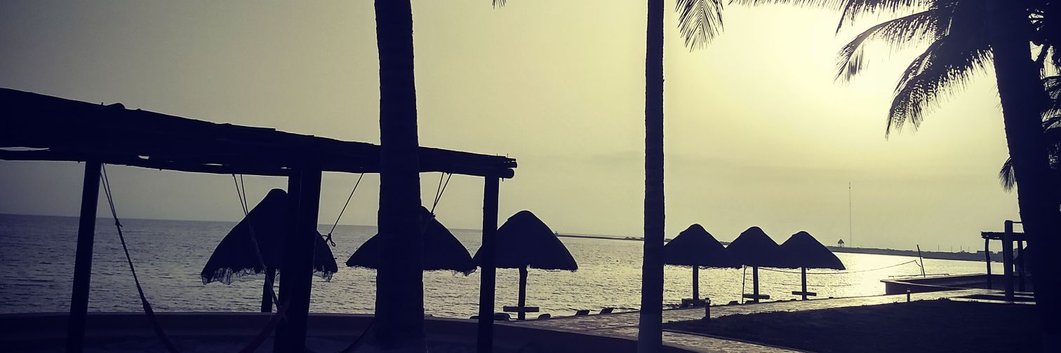 armandorozb's profile banner image