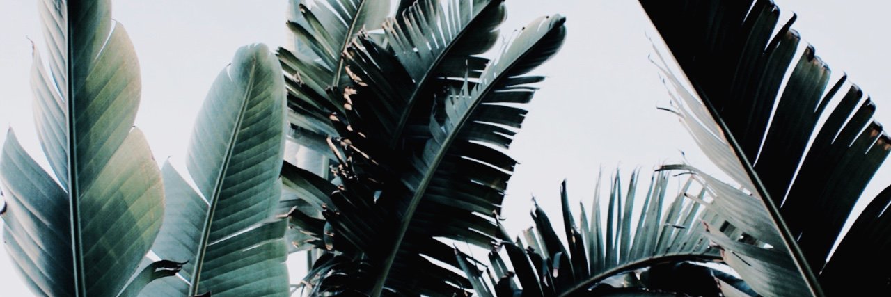 MajoMSolo's profile banner image