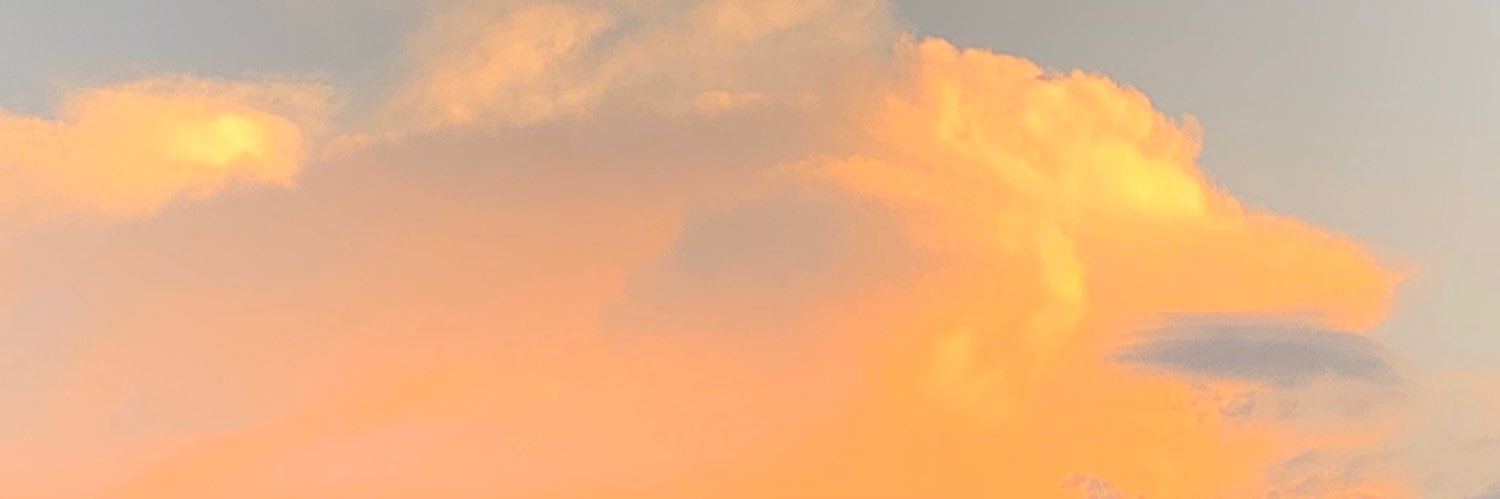 worsor banner