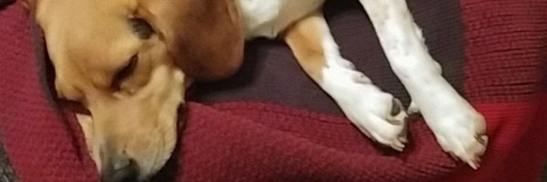 ltylerkc Profile Banner