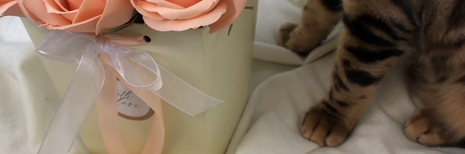 shrpva_'s profile banner image