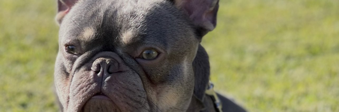 ziggsss_'s profile banner image