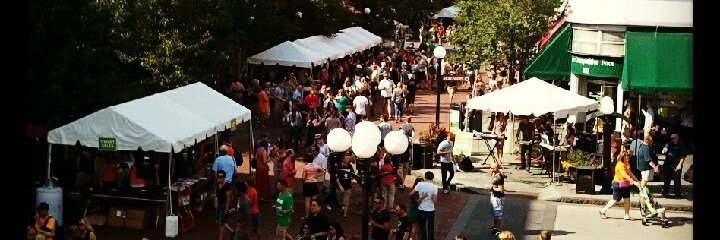 OP Micro Brew Review banner