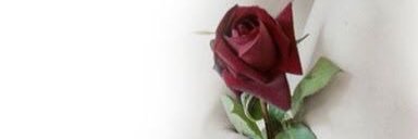 www7007's profile banner image