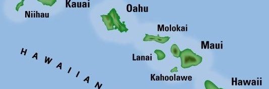 Todd L. Allen banner