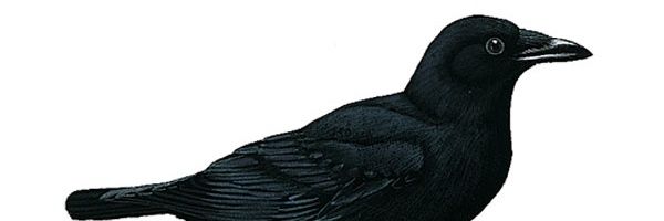 GhostySad's profile banner image