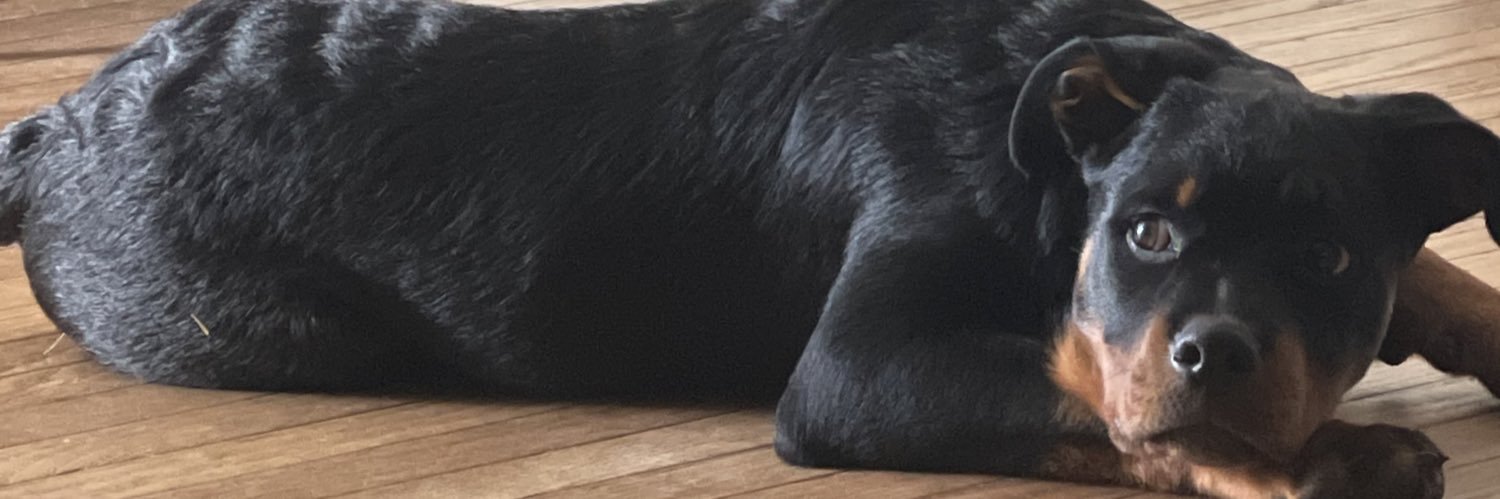 Michael_Scott35's profile banner image