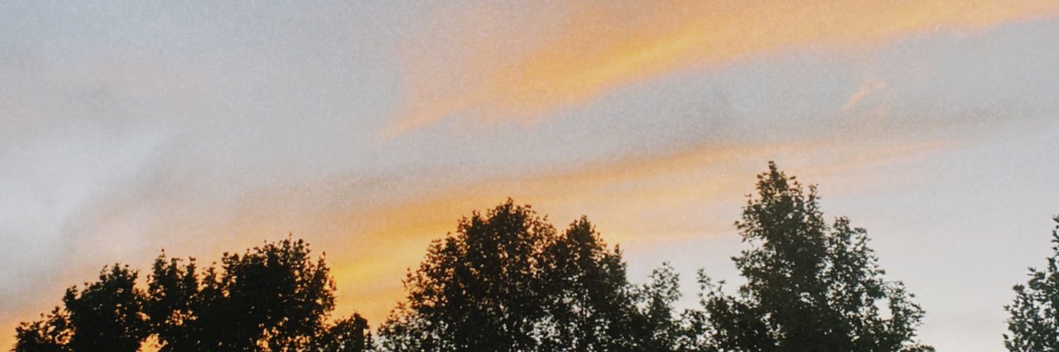 puseguzel's profile banner image