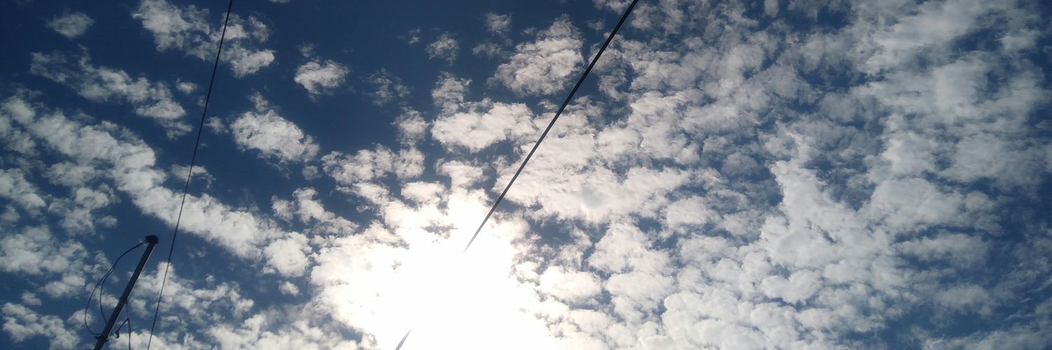 lupitiss's profile banner image