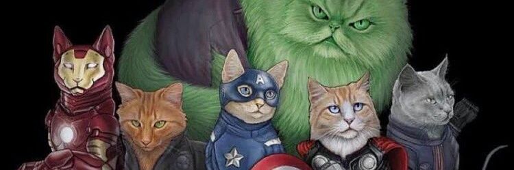 FefeAlbuquerque's profile banner image