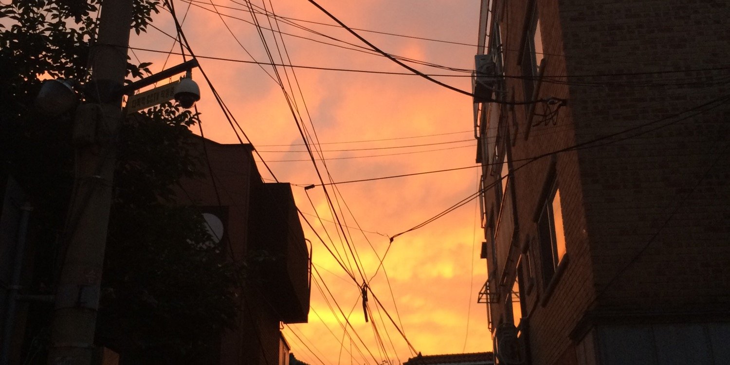 suribi's profile banner image