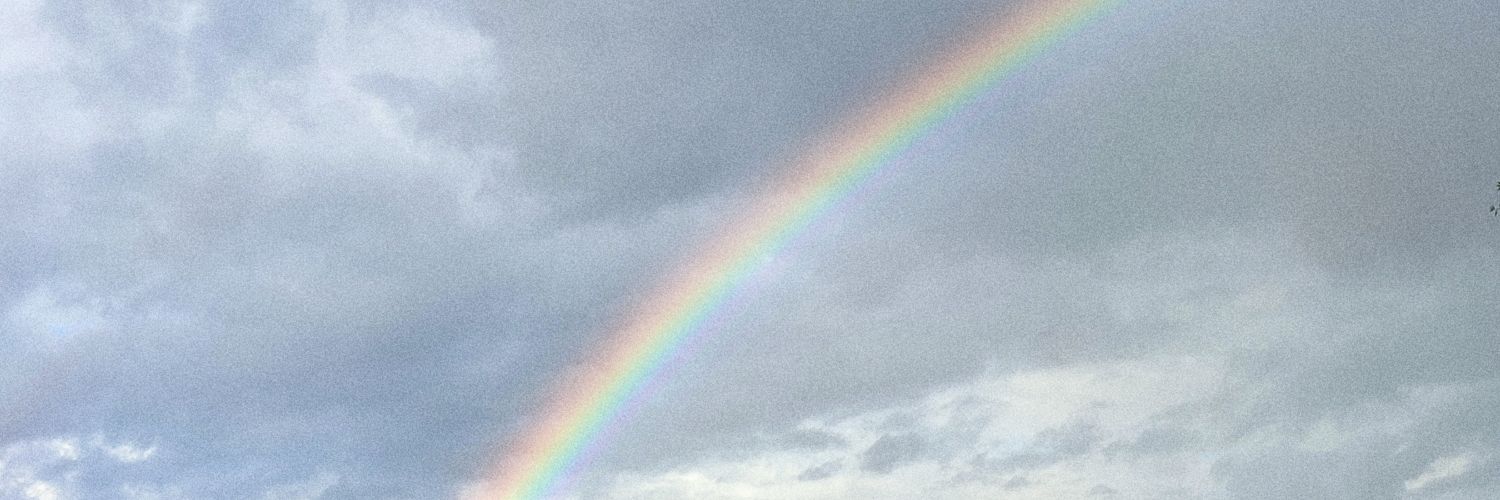 AnaDM19's profile banner image