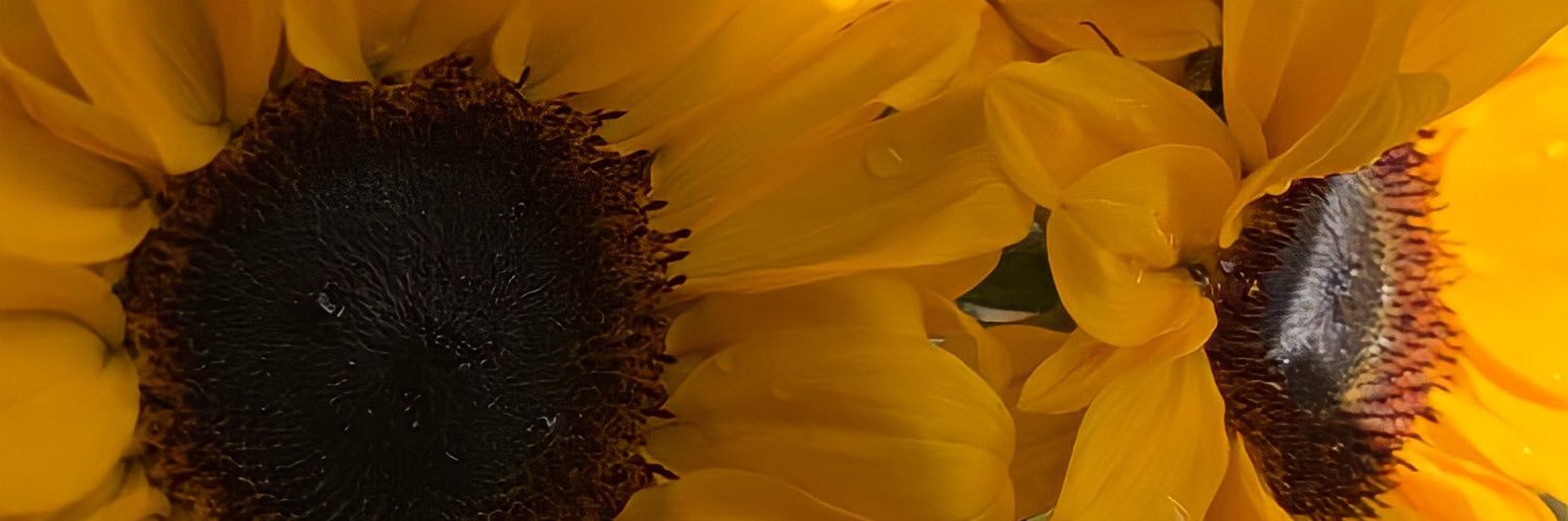 sherysax's profile banner image