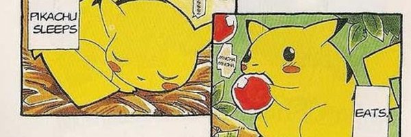 Chuckfug Profile Banner