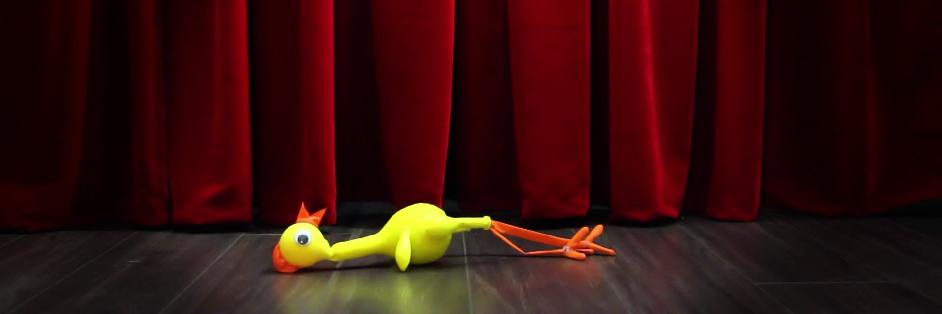 SombreroDoctor's profile banner image