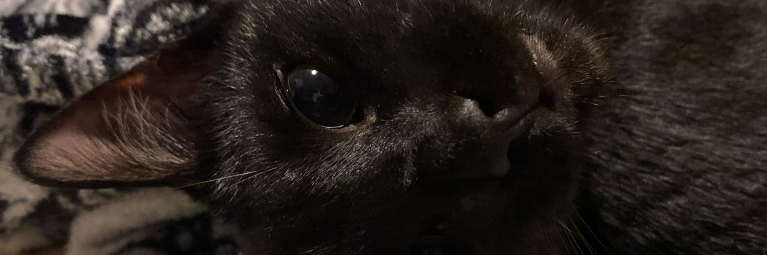 dlt_Dany's profile banner image
