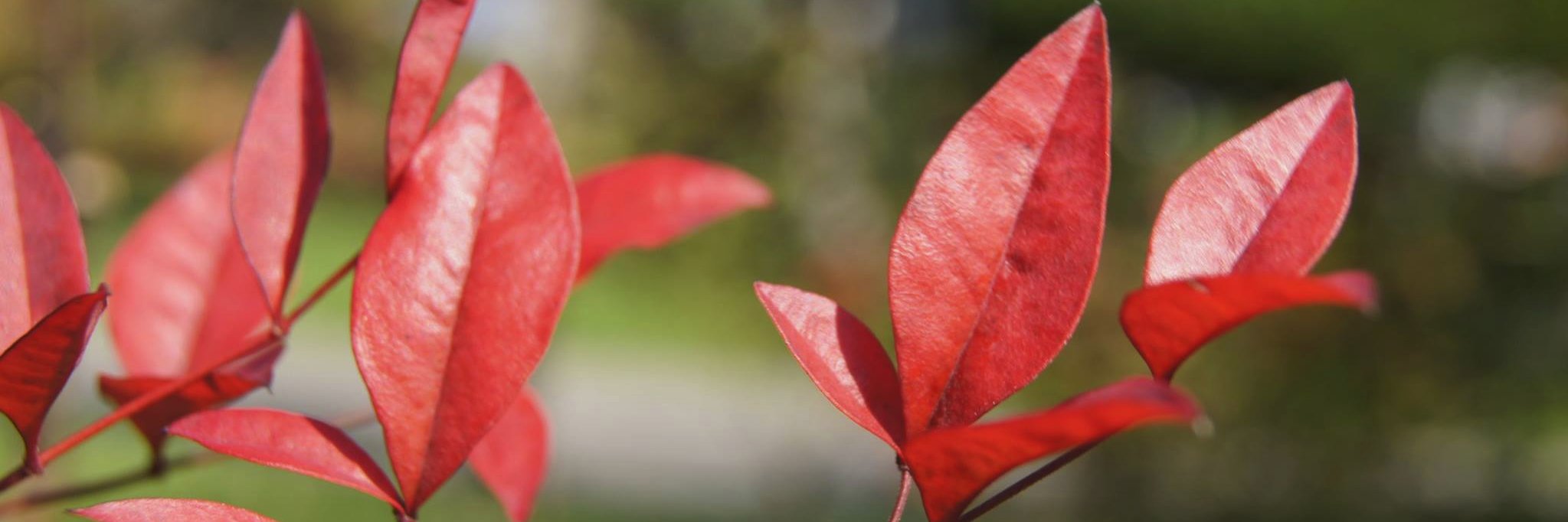 reportealdia's profile banner image