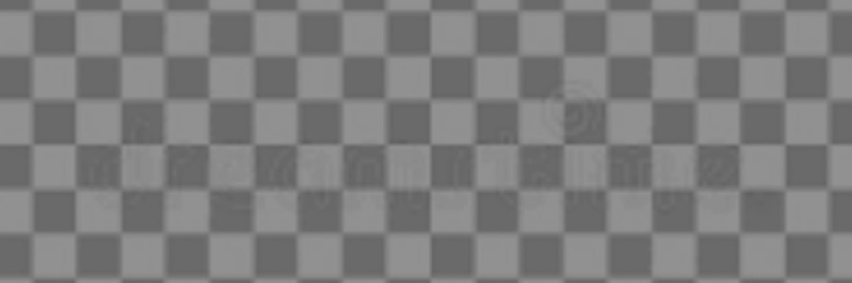 Leopsorecer banner