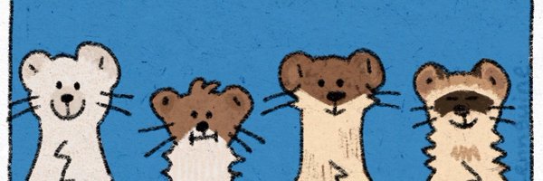 conner_stucker Profile Banner