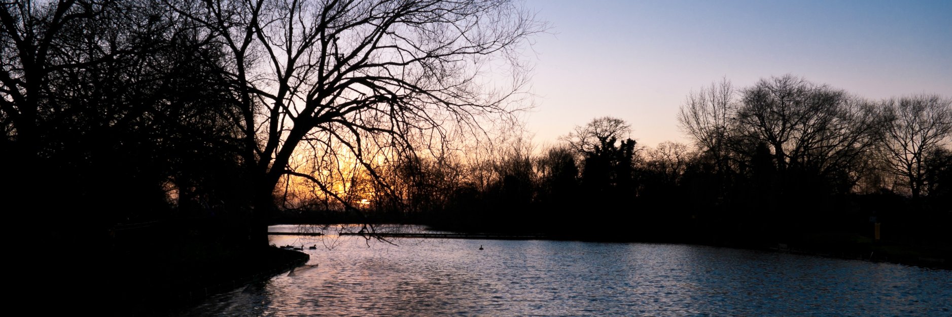 RichardSchune's profile banner image