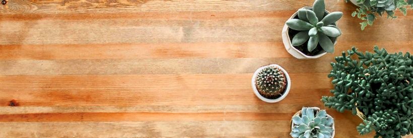 SteelCityStudio banner