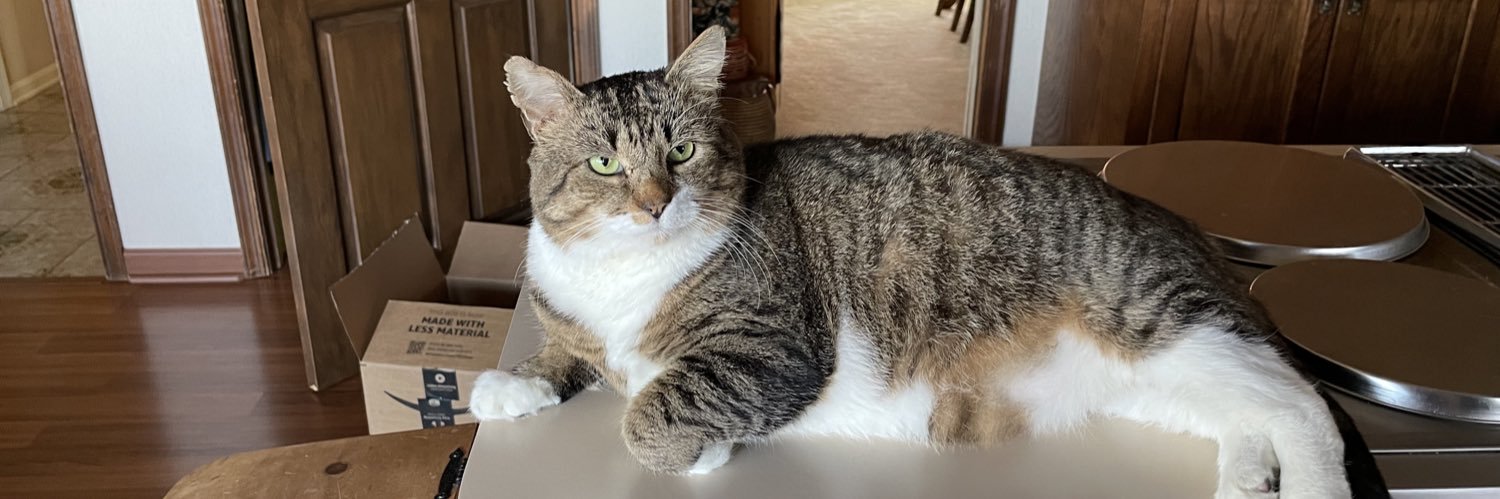 Kristina Landis banner