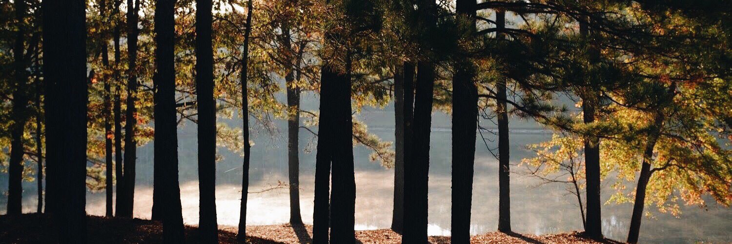 AndreaRoLenn's profile banner image