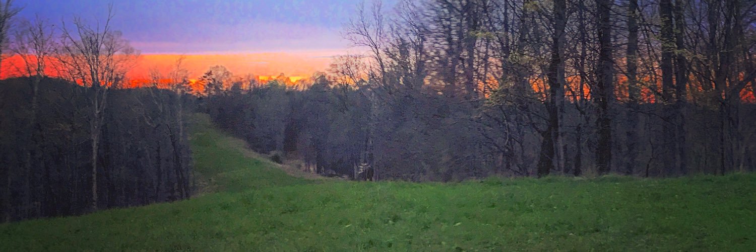 KellyLarue08's profile banner image
