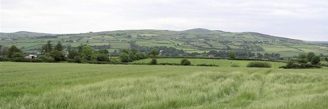 Stephen banner