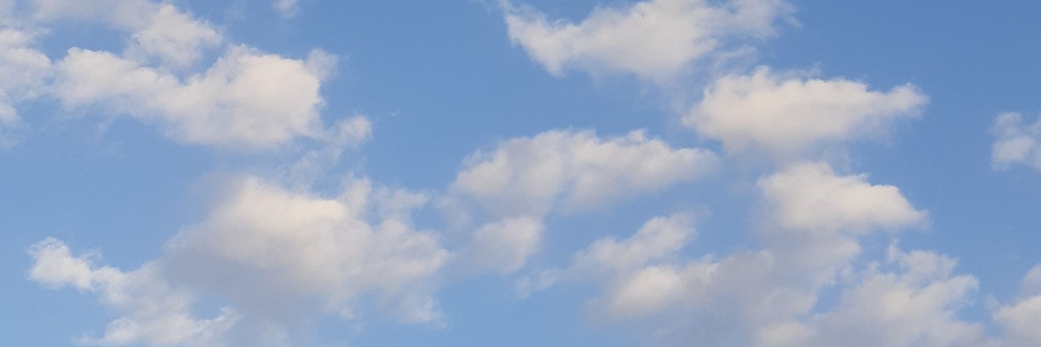 annatassinari's profile banner image