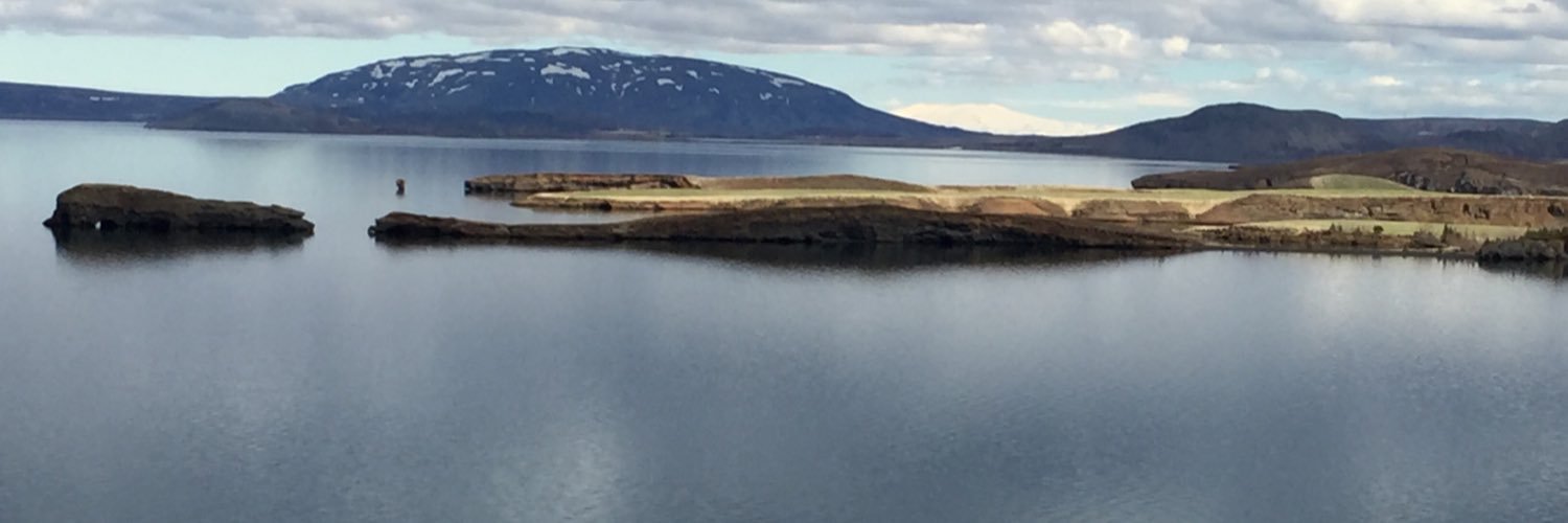 Bookbuzzer @farmsy.bsky.social banner